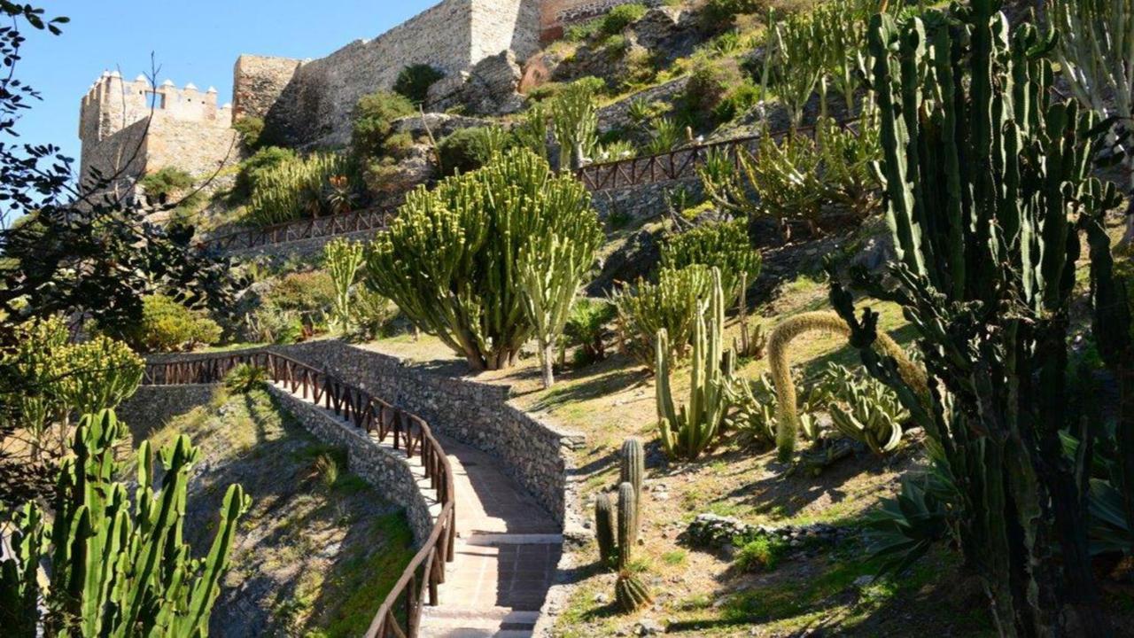 Las Palmeras Альмуньекар Экстерьер фото